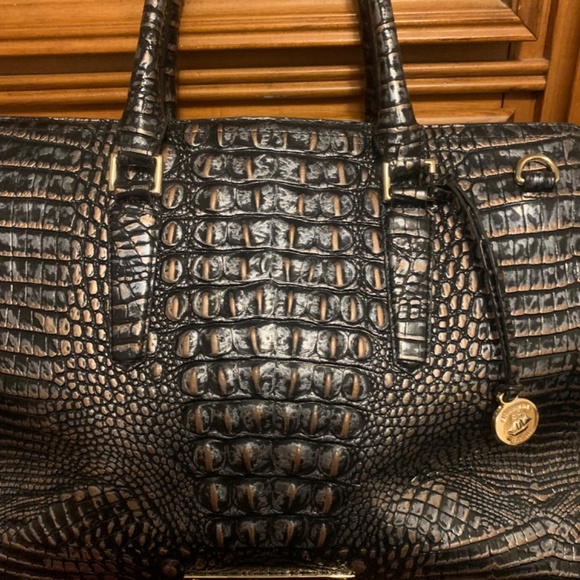 New Brahmin - Picture 3 of 9